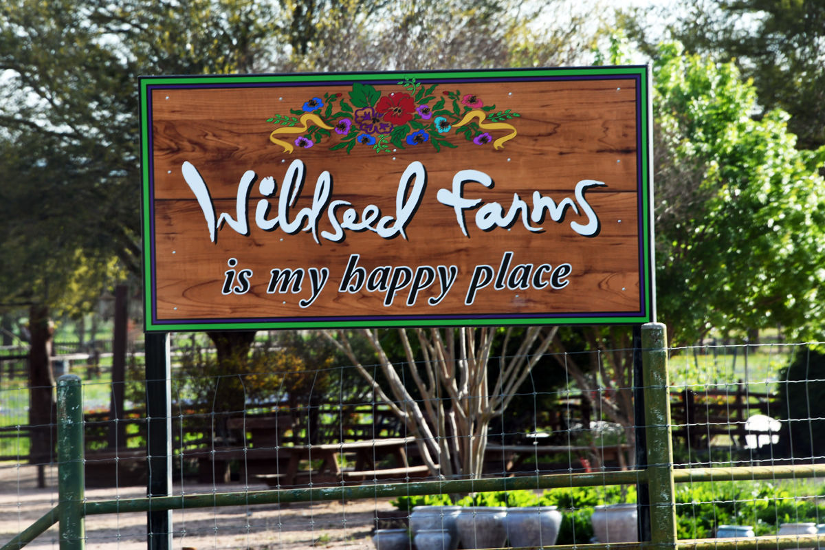191 Wildseed Farms in Texas Hill Country.JPG